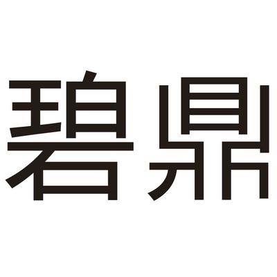广州碧鼎信息科技