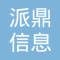 派鼎信息科技(上海)